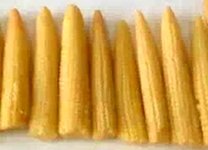 Baby Corn – Whole